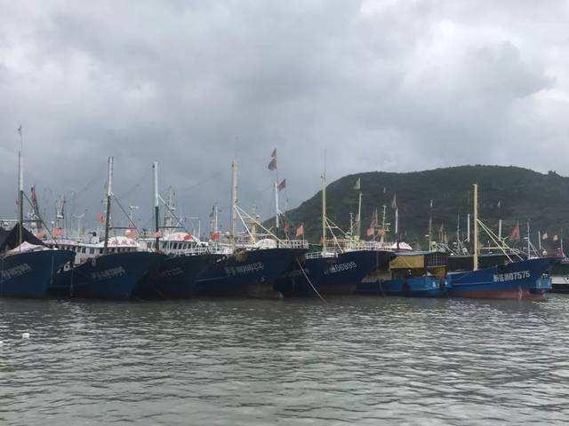 港口氣象站圖片2