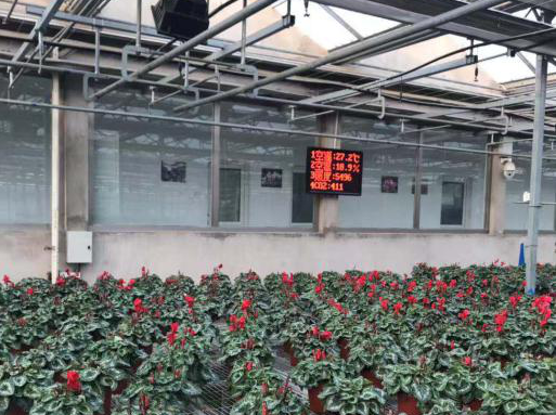 溫室大棚智能控制系統(tǒng)圖片3 溫室大棚智能控制系統(tǒng)圖片3