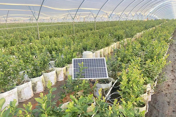 小型氣象站圖片2 小型氣象站圖片2