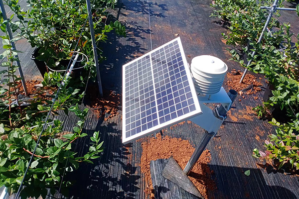 土壤墑情監(jiān)測(cè)圖片1 土壤墑情監(jiān)測(cè)圖片1