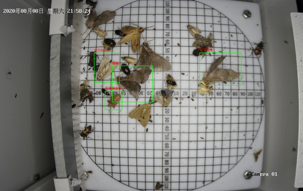 1685518049446641.png 蟲(chóng)情.png