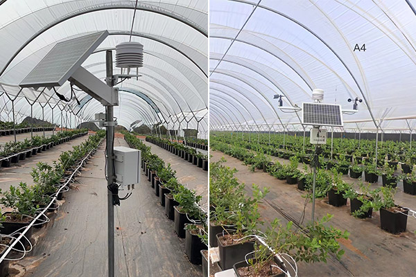 農(nóng)業(yè)自動(dòng)氣象站圖片3 農(nóng)業(yè)自動(dòng)氣象站圖片3