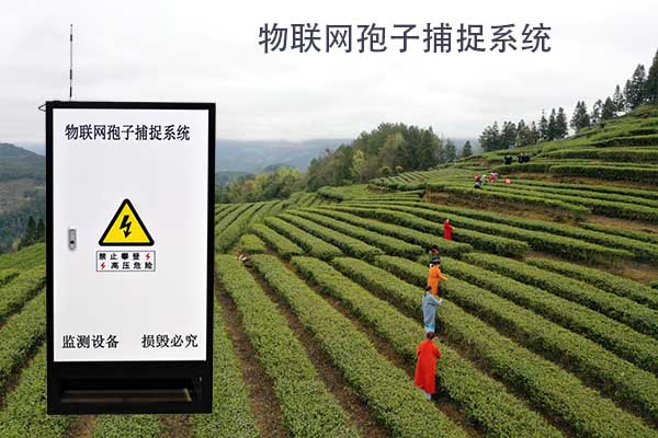 物聯(lián)網(wǎng)孢子捕捉系統(tǒng)圖片 物聯(lián)網(wǎng)孢子捕捉系統(tǒng)圖片