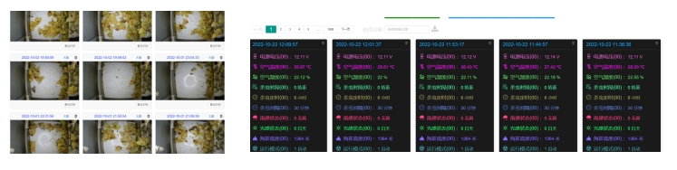 1709186581210494.png 1709186581210494.png