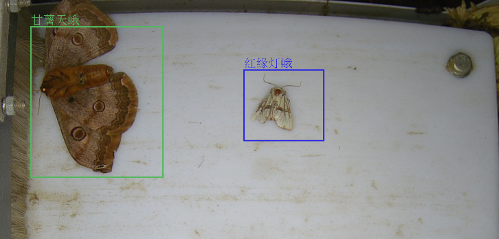 1709186638363974.png 1709186638363974.png