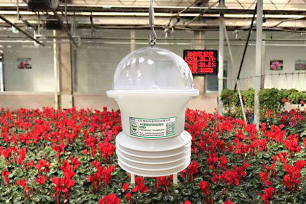 便攜式溫濕度測量儀圖片2