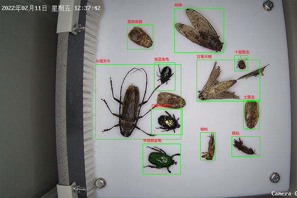 自動(dòng)蟲情測(cè)報(bào)燈圖片6