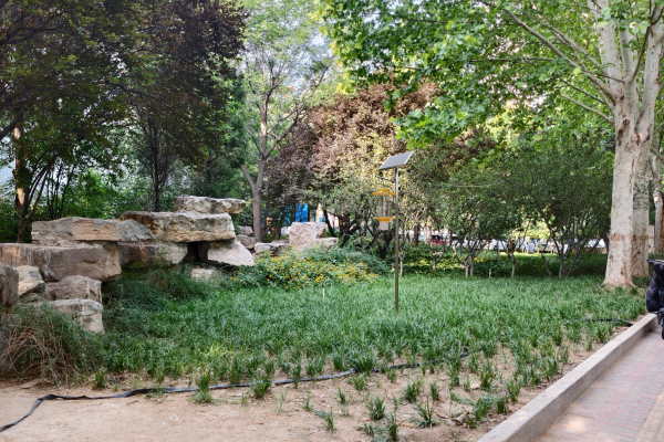 物聯(lián)網(wǎng)殺蟲(chóng)燈圖片4 物聯(lián)網(wǎng)殺蟲(chóng)燈圖片4